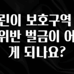 요즘 이게 유행 어린이 보호구역 신호위반 벌금이 어떻게 되나요? 실간 리뷰