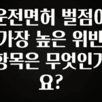 유튜브에서 난리난 정보 운전면허 벌점이 가장 높은 위반 항목은 무엇인가요? 확인 부탁드립니다