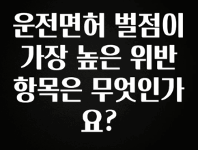 유튜브에서 난리난 정보 운전면허 벌점이 가장 높은 위반 항목은 무엇인가요? 확인 부탁드립니다
