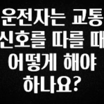 긴급소식 운전자는 교통 신호를 따를 때 어떻게 해야 하나요? 전해드립니다