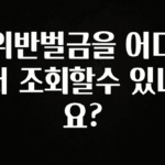 정성가득 선물 위반벌금을 어디서 조회할수 있나요? 최신정보