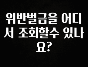 정성가득 선물 위반벌금을 어디서 조회할수 있나요? 최신정보