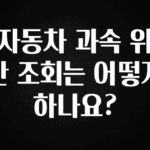 싹 다알려줌 자동차 과속 위반 조회는 어떻게 하나요? 한 번에 알려드립니다