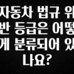 찐공개 자동차 법규 위반 등급은 어떻게 분류되어 있나요? 클릭해보세요