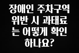종.결.판 장애인 주차구역 위반 시 과태료는 어떻게 확인하나요? 궁금하시죠?