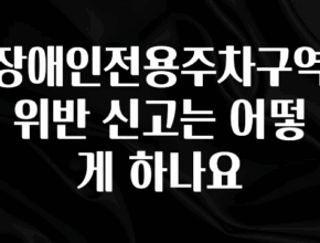 꾸준한 인기 장애인전용주차구역 위반 신고는 어떻게 하나요 1분이면 확인가능 합니다