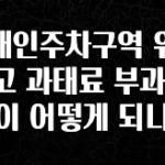 +최신 소식 장애인주차구역 위반 신고 과태료 부과 기준이 어떻게 되나요 아쉬움이 없습니다