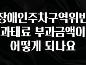 이번 선물은 꼭 장애인주차구역위반과태료 부과금액이 어떻게 되나요 30초면 확인 가능합니다