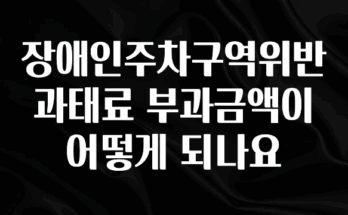 이번 선물은 꼭 장애인주차구역위반과태료 부과금액이 어떻게 되나요 30초면 확인 가능합니다