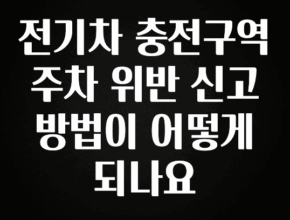 좋은 정보 전기차 충전구역 주차 위반 신고 방법이 어떻게 되나요 클릭해보세요