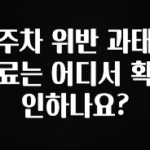 이번주 제일 많이찾은 주차 위반 과태료는 어디서 확인하나요? 관심이 뜨거운 이유 입니다
