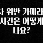찐공개 주차 위반 카메라 단속 시간은 어떻게 되나요? 리뷰가 많습니다