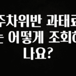 시간이 없다? 주차위반 과태료는 어떻게 조회하나요? 추천한 이유입니다