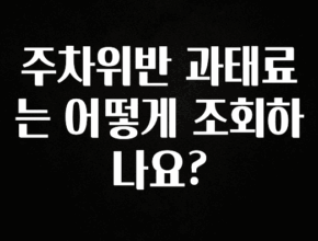시간이 없다? 주차위반 과태료는 어떻게 조회하나요? 추천한 이유입니다