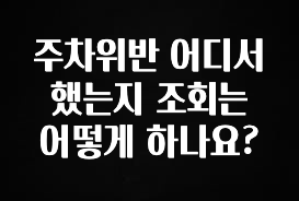 요즘 유행 주차위반 어디서 했는지 조회는 어떻게 하나요? 아쉬움이 없습니다