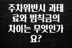 실시간으로 뜸! 주차위반시 과태료와 범칙금의 차이는 무엇인가요? 후회하지 않습니다