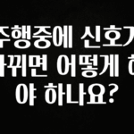 주목 주행중에 신호가 바뀌면 어떻게 해야 하나요? 정직하게 소개해보겠습니다