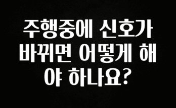 주목 주행중에 신호가 바뀌면 어떻게 해야 하나요? 정직하게 소개해보겠습니다
