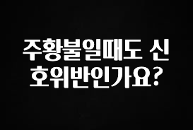 사실 찐정보는 주황불일때도 신호위반인가요? 추천한 이유입니다
