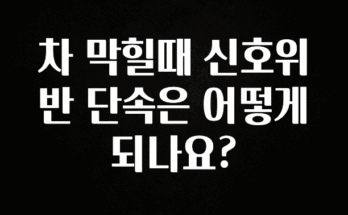 품절이 임박한 차 막힐때 신호위반 단속은 어떻게 되나요? 알려드립니다