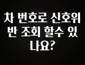 유튜브에서 난리난 정보 차 번호로 신호위반 조회 할수 있나요? 알려드립니다