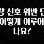 감사를 담은 차량 신호 위반 단속은 어떻게 이루어 지나요? 아쉬움이 없습니다