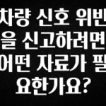 간편확인 차량 신호 위반을 신고하려면 어떤 자료가 필요한가요? 요약본만 확인해보세요