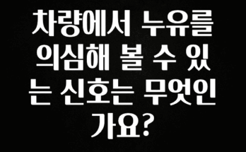 빠르게 확인 하세요! 차량에서 누유를 의심해 볼 수 있는 신호는 무엇인가요? 알려드립니다