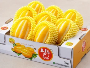 업뎃 정보 참외 확인해보세요