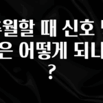 바로 확인가능한 추월할 때 신호 방법은 어떻게 되나요? 요약정리