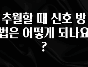 바로 확인가능한 추월할 때 신호 방법은 어떻게 되나요? 요약정리