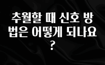 바로 확인가능한 추월할 때 신호 방법은 어떻게 되나요? 요약정리