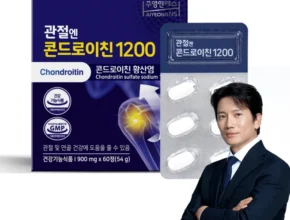 알아두면 유용한 콘드로이친 실사용 후기