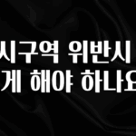 드디어 다음주에 공개 택시구역 위반시 어떻게 해야 하나요? 알려드립니다