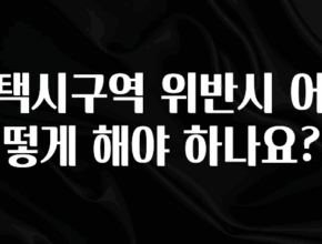 드디어 다음주에 공개 택시구역 위반시 어떻게 해야 하나요? 알려드립니다