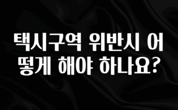 드디어 다음주에 공개 택시구역 위반시 어떻게 해야 하나요? 알려드립니다