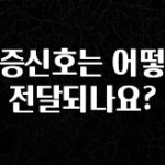 보고싶은 순간 통증신호는 어떻게 전달되나요? 추천한 이유입니다