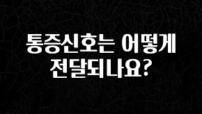 보고싶은 순간 통증신호는 어떻게 전달되나요? 추천한 이유입니다