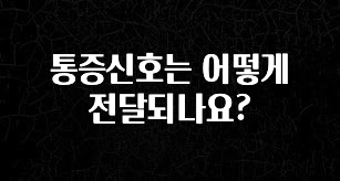 보고싶은 순간 통증신호는 어떻게 전달되나요? 추천한 이유입니다