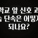 사계절 사랑받는 학교 앞 신호 과속 단속은 어떻게 되나요? 알려드립니다