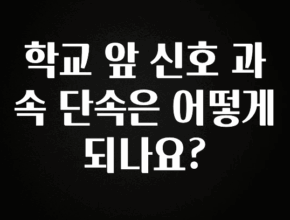 사계절 사랑받는 학교 앞 신호 과속 단속은 어떻게 되나요? 알려드립니다