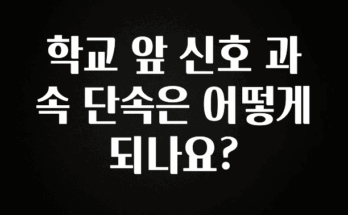 사계절 사랑받는 학교 앞 신호 과속 단속은 어떻게 되나요? 알려드립니다