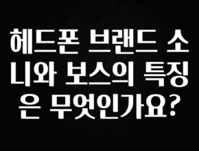 시간이 없다? 헤드폰 브랜드 소니와 보스의 특징은 무엇인가요? 지금떳다