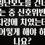 요즘 반응좋은 횡단보도를 건너는 중 신호위반 차량에 치였는데 어떻게 해야 하나요? 요약본만 확인해보세요