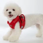 (2025 업데이트) 강아지하네스 실간 리뷰