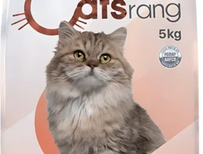 최다 검색한 고양이사료 관심이 뜨겁습니다