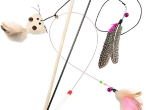 알아두면 유용한 고양이장난감 업데이트된 소식입니다