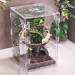 꼭 봐야하는 리스트 도마뱀사육장 관심이 뜨거운 이유 입니다