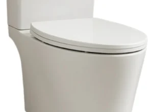 지금 당장 확인해야하는 이유 변기 아쉬움이 없습니다