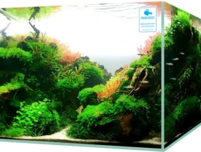 상담예약 어항 확인해보세요